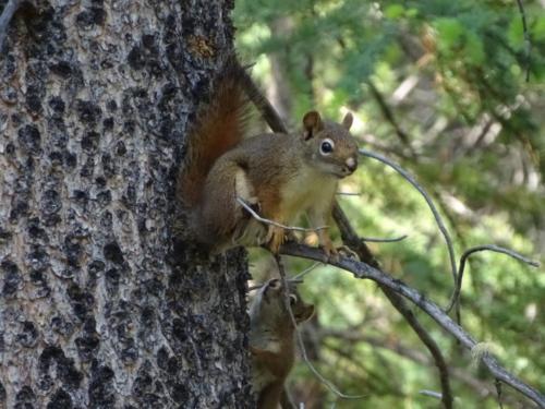 Canadian Road Trip 2019