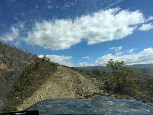 Jimny working her way up.