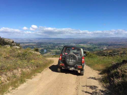 Jude enjoying the drive on the return from Bannockburn.