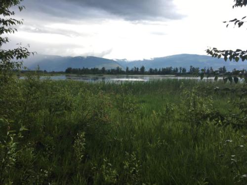 Canadian Road Trip 2019