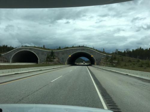 Canadian Road Trip 2019