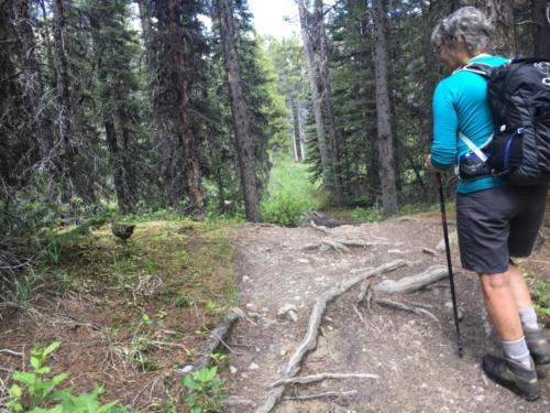 Canadian Road Trip 2019