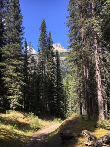 Canadian Road Trip 2019