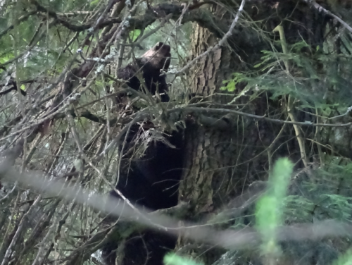 Canadian Road Trip 2019