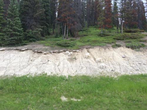 Canadian Road Trip 2019