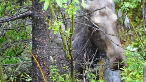 Canadian Road Trip 2019