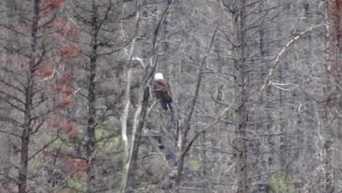 Canadian Road Trip 2019