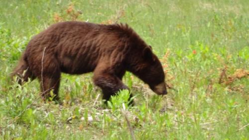 Canadian Road Trip 2019