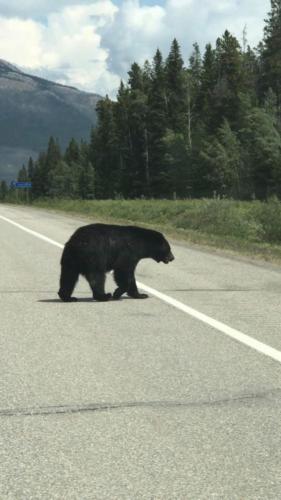 Canadian Road Trip 2019