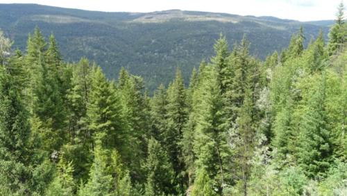 Canadian Road Trip 2019