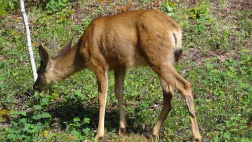 Canadian Road Trip 2019