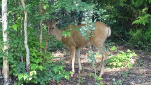 Canadian Road Trip 2019