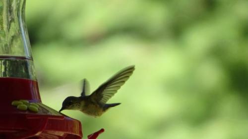 Canadian Road Trip 2019