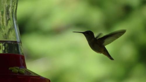 Canadian Road Trip 2019