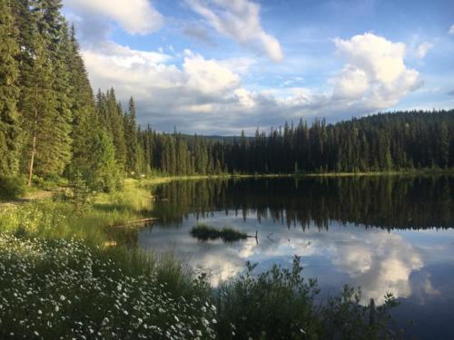 Canadian Road Trip 2019