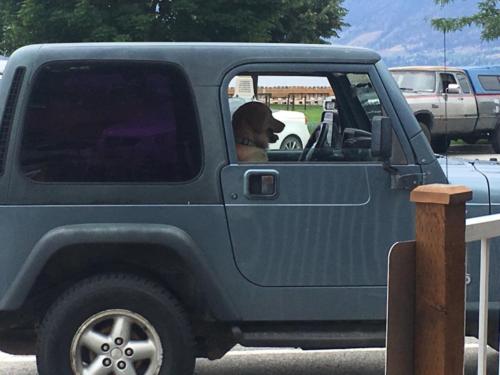 Canadian Road Trip 2019