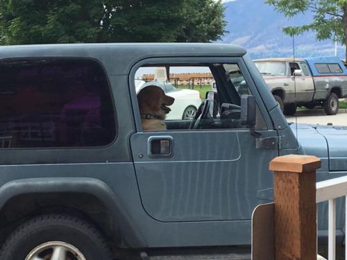 Canadian Road Trip 2019