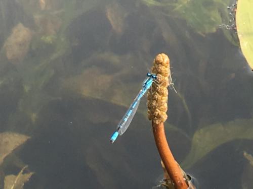 Canadian Road Trip 2019