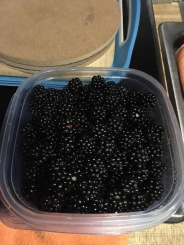 Canadian Road Trip 2019