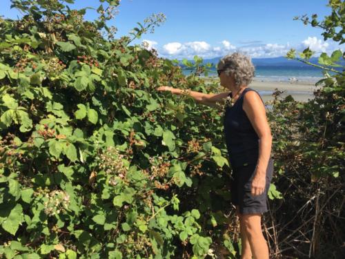 Canadian Road Trip 2019