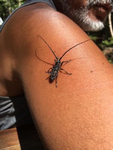 Canadian Road Trip 2019