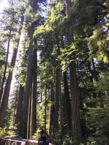 Canadian Road Trip 2019