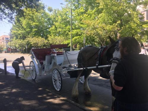 Canadian Road Trip 2019