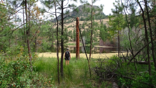 Canadian Road Trip 2019